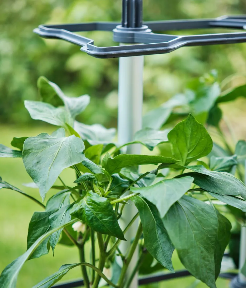 GUSTA GARDEN Rankgitter & Obelisken - Rankhilfe Chili Buddy, ca. B34/H64/T19 cm, 3er-Set