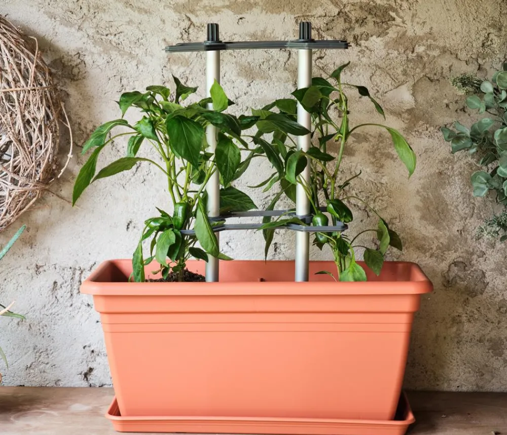 GUSTA GARDEN Rankgitter & Obelisken - Rankhilfe Chili Buddy, ca. B34/H64/T19 cm, 3er-Set