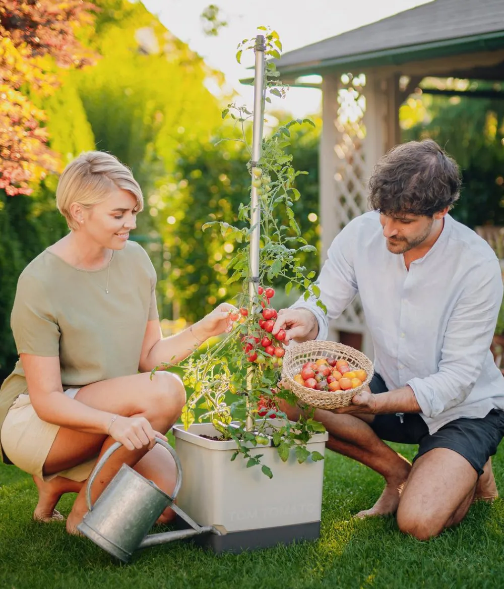 GUSTA GARDEN Hochbeete & Frühbeete > Tomatentopf Tom Tomato, ca. B35/H135/T28 cm