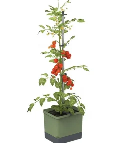 GUSTA GARDEN Hochbeete & Frühbeete - Tomatentopf Tom Tomato, ca. B35/H135/T28 cm Dunkelgrün