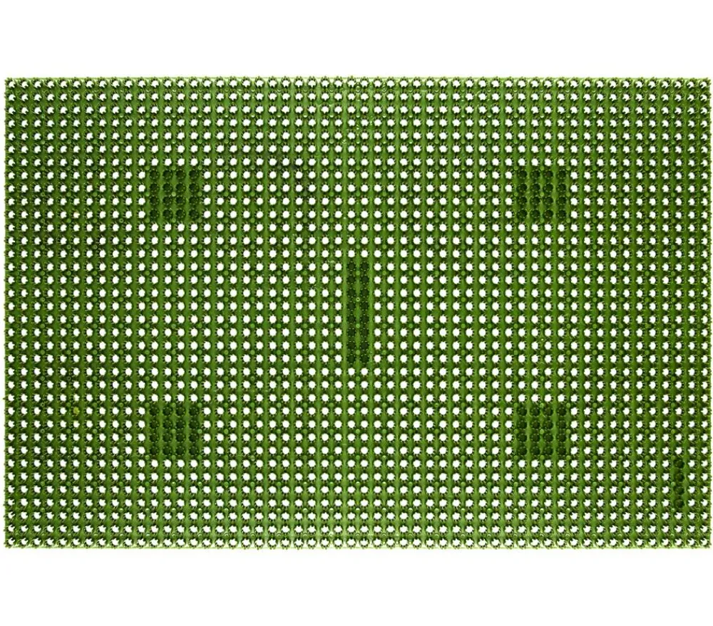 Hamat Fußmatte, , ca. B60/T40 cm Grün Outlet