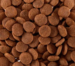 Happy Dog Trockenfutter Hund > Trockenfutter für Hunde Supreme Sensible Africa