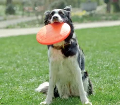 HEALTHY® Hundespielzeug - Healthy Hundespielzeug Fly, ca. Ø22 cm