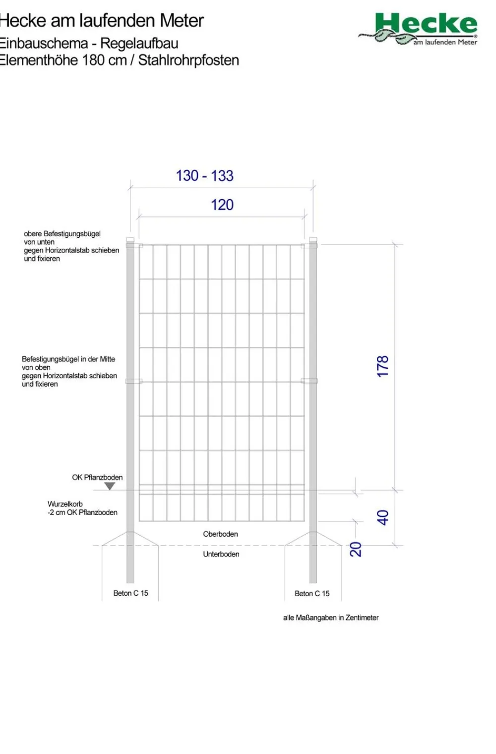 Hecke am laufenden Meter ® Color - Efeu mit Clematis, ca. 180 cm Lavendel Hot