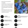 Dehner Heidelbeeren Beeren-Sets|Heidelbeeren > Heidelbeer-Set Blaubeer-Genuss, 3-teilig