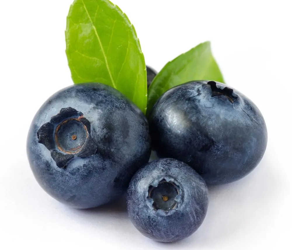Dehner Heidelbeeren Beeren-Sets|Heidelbeeren - Heidelbeer-Set Blaubeer-Liebe, 4-teilig Dunkelblau