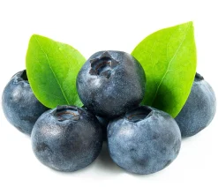 Dehner Heidelbeeren Beeren-Sets|Heidelbeeren - Heidelbeer-Set Blaubeer-Liebe, 4-teilig Dunkelblau