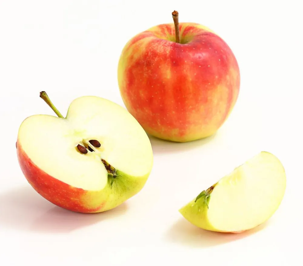 Dehner Obstbäume|Birnen- & Apfelbäume > Herbstapfel 'Elstar'