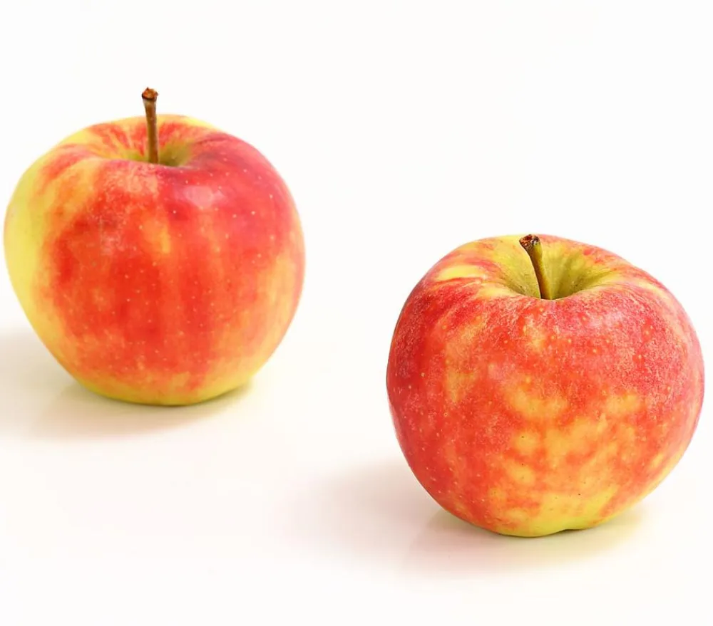 Dehner Obstbäume|Birnen- & Apfelbäume > Herbstapfel 'Elstar'