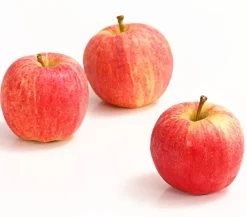 Dehner Obstbäume|Birnen- & Apfelbäume > Herbstapfel 'Gala'