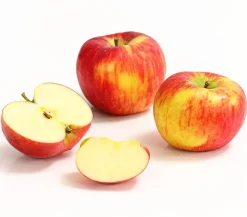 Dehner Obstbäume|Birnen- & Apfelbäume > Herbstapfel 'Topaz'