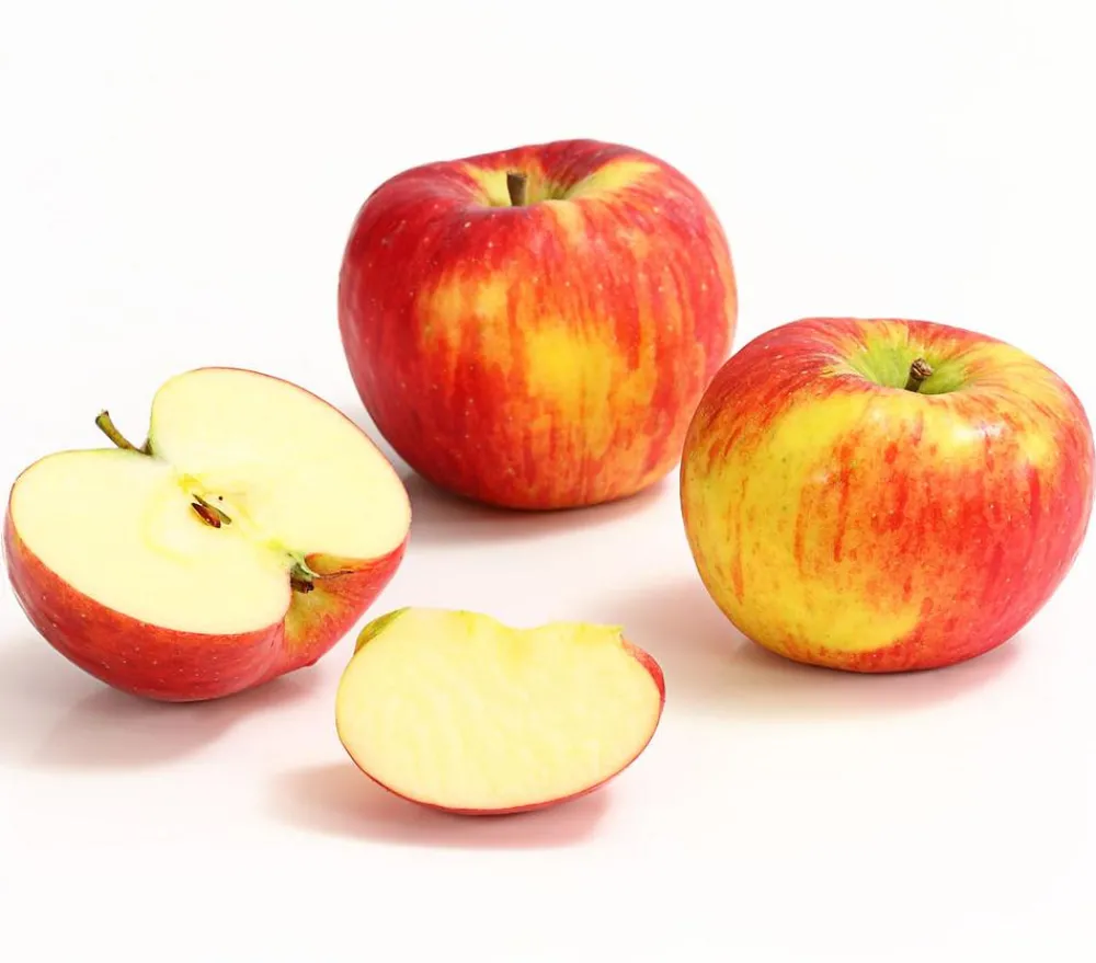 Dehner Obstbäume|Birnen- & Apfelbäume > Herbstapfel 'Topaz'