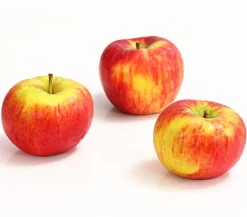 Dehner Herbstapfel 'Topaz' Rot Outlet