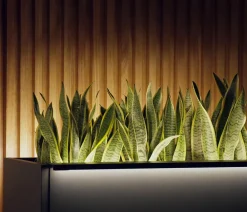 Herstera Pflanzkübel & Blumenkästen > Metall-Pflanzkasten Cube Xic LED, rechteckig,