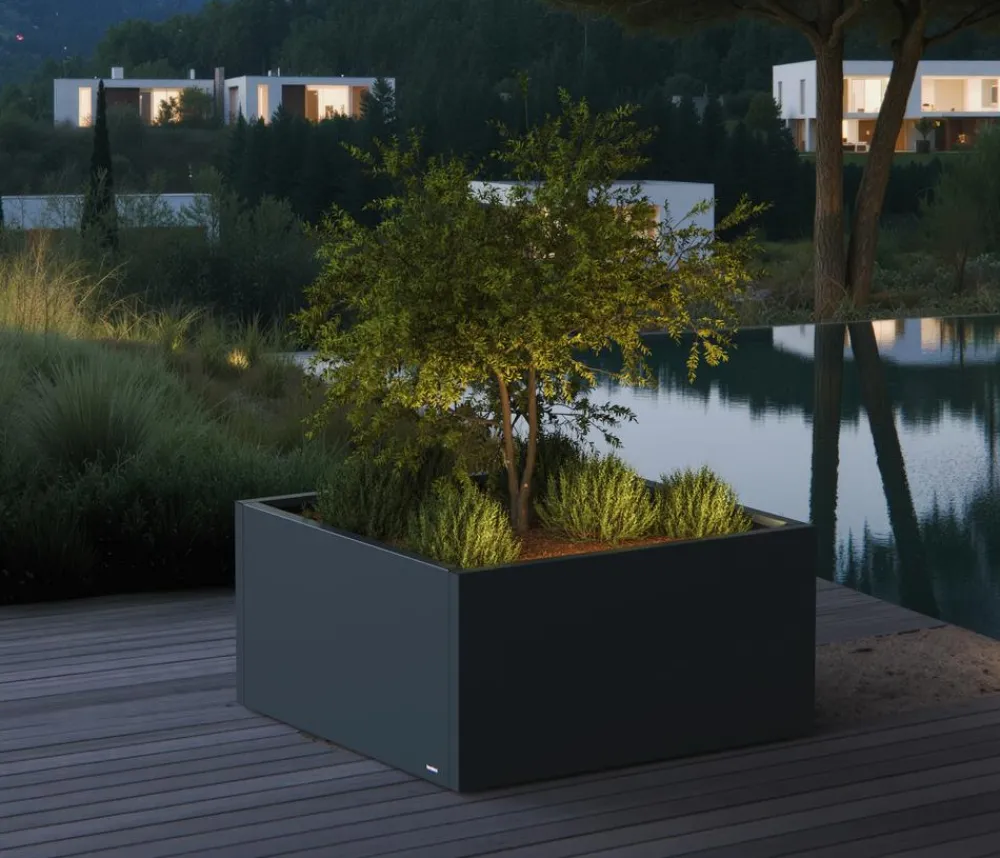 Herstera Metall-Pflanzkasten Cube Low LED, quadratisch, , ca. B100/H50/T100 cm Anthrazit Online
