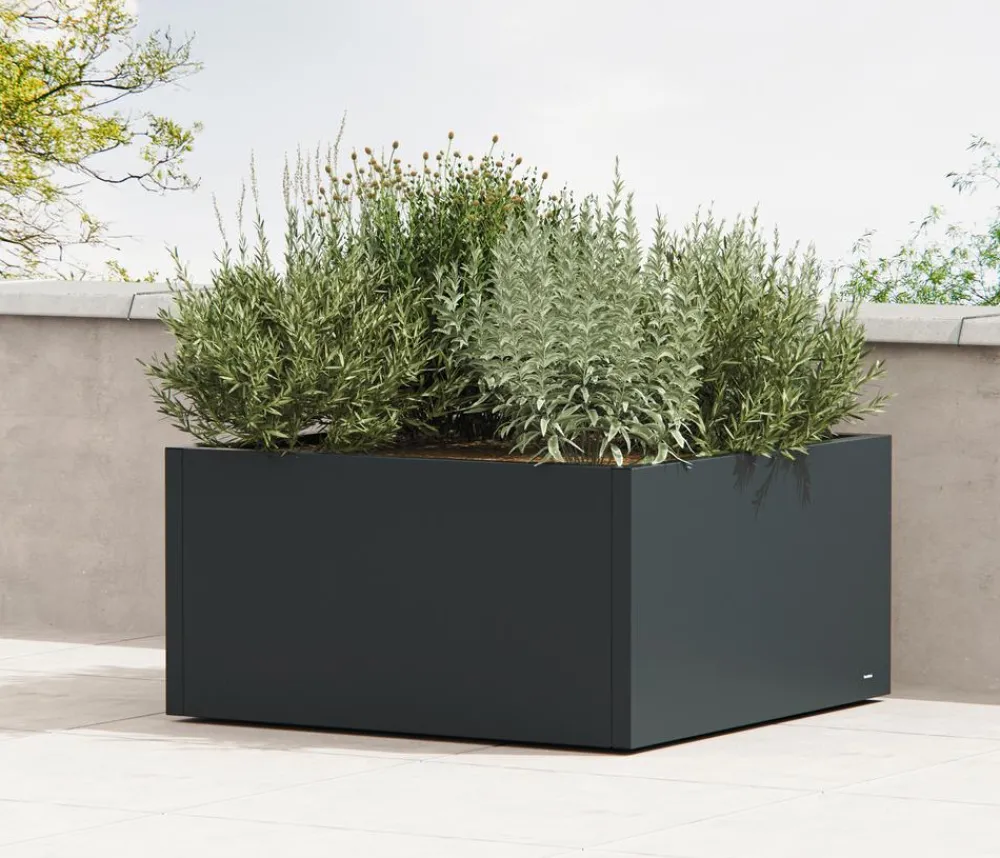 Herstera Metall-Pflanzkasten Cube Low LED, quadratisch, , ca. B100/H50/T100 cm Anthrazit Online
