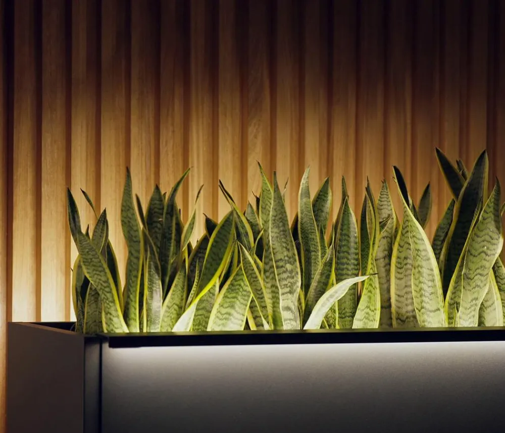 Herstera Pflanzkübel & Blumenkästen - Metall-Pflanzkasten Cube Xic LED, rechteckig, Anthrazit