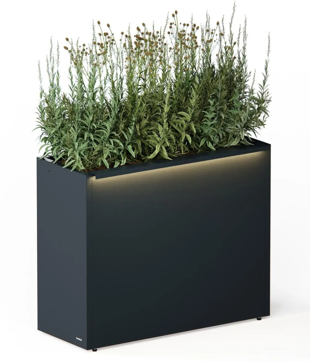 Herstera Pflanzkübel & Blumenkästen - Metall-Raumtrenner Cube LED, rechteckig, Anthrazit