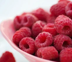 Dehner Himbeeren Himbeeren & Brombeeren|Beerensträucher > Himbeere 'Himbo Top®'