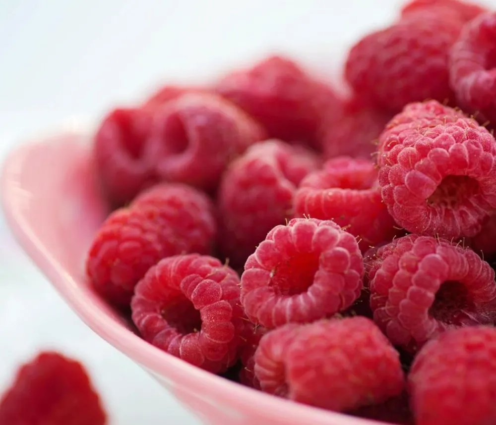 Dehner Himbeeren Himbeeren & Brombeeren|Beerensträucher > Himbeere 'Himbo Top®'