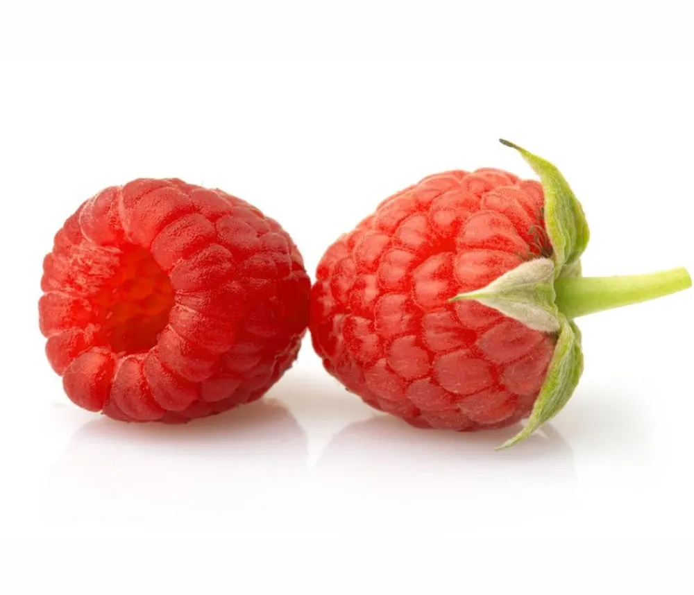 Dehner Himbeeren & Brombeeren|Beeren-Sets > Himbeer-Set Himbeer-Quartett, 4-teilig