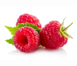 Dehner Himbeeren & Brombeeren|Beeren-Sets > Himbeer-Set Himbeer-Quartett, 4-teilig