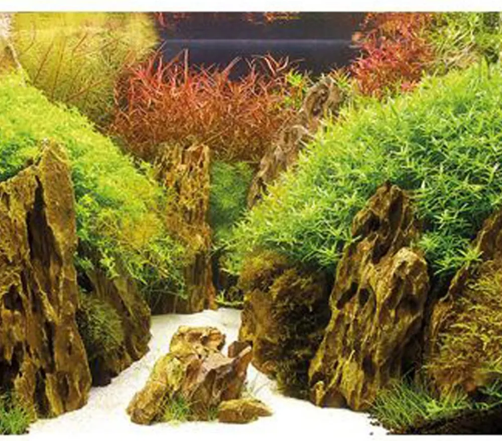 Hobby® Aquarium Rückwand Canyon/Woodland Best