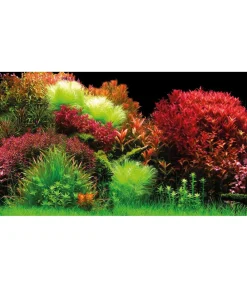 Hobby® Deko > Aquarium Rückwand Ocean/Ruby Lake