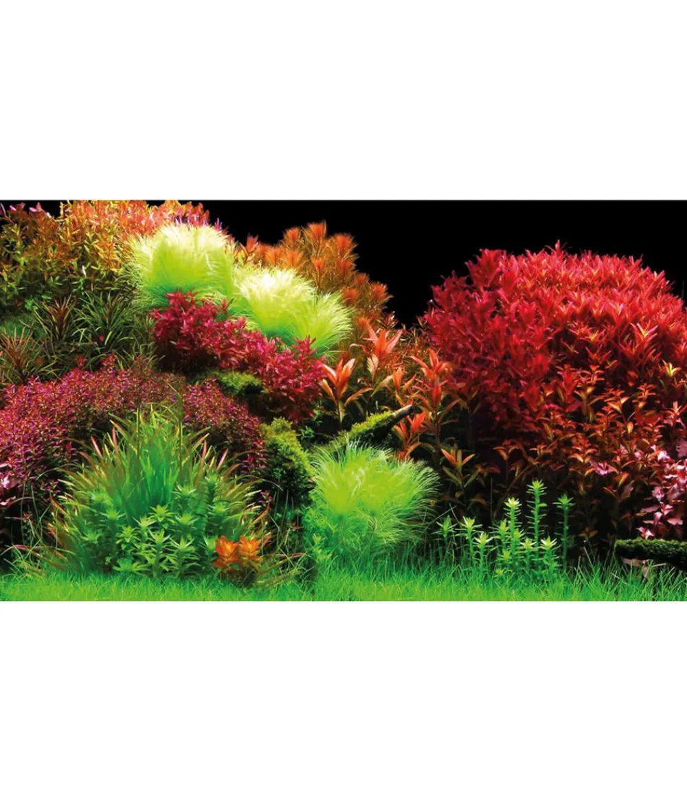 Hobby® Deko - Aquarium Rückwand Ocean/Ruby Lake