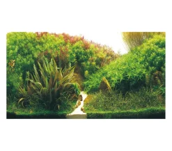 Hobby® Deko > Aquarium Rückwand Planted River/Green Rocks