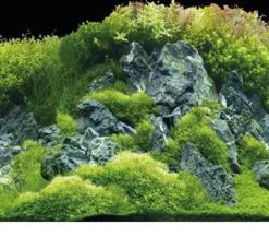 Hobby® Deko > Aquarium Rückwand Planted River/Green Rocks