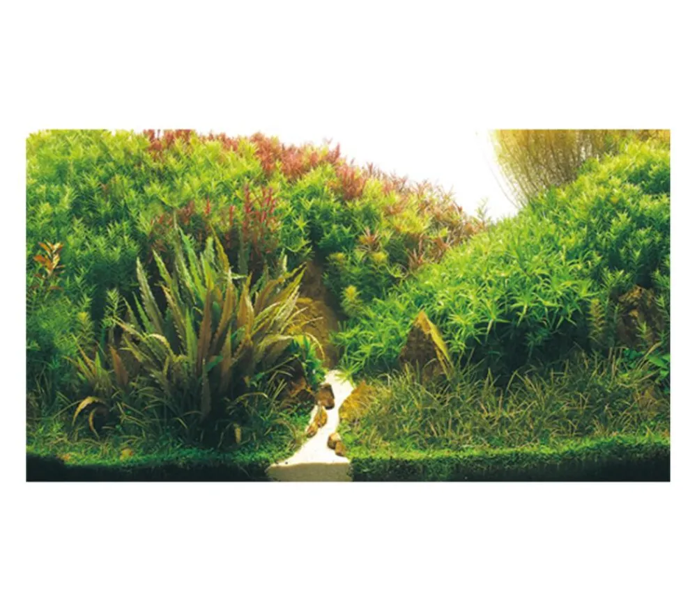 Hobby® Aquarium Rückwand Planted River/Green Rocks Outlet