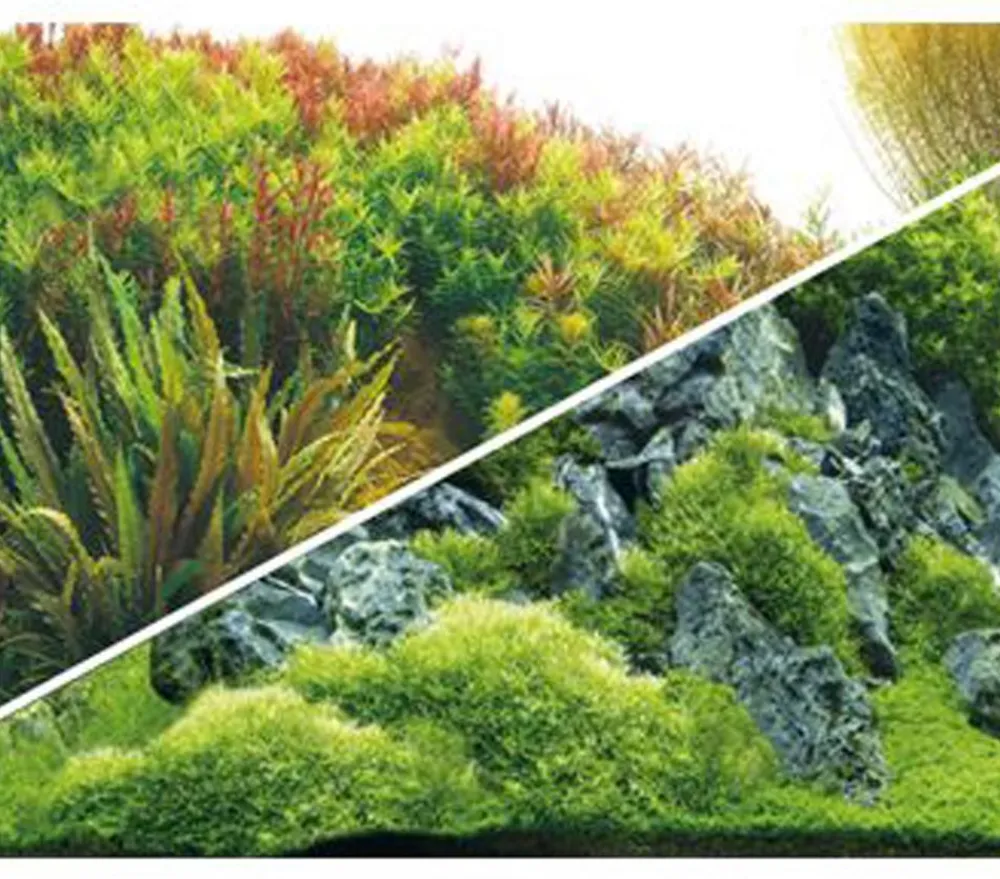 Hobby® Aquarium Rückwand Planted River/Green Rocks Outlet
