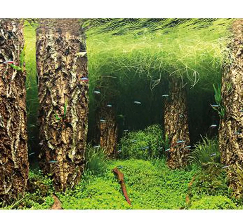 Hobby® Aquarium Rückwand Scaper's Hill/Scaper's Forest Discount