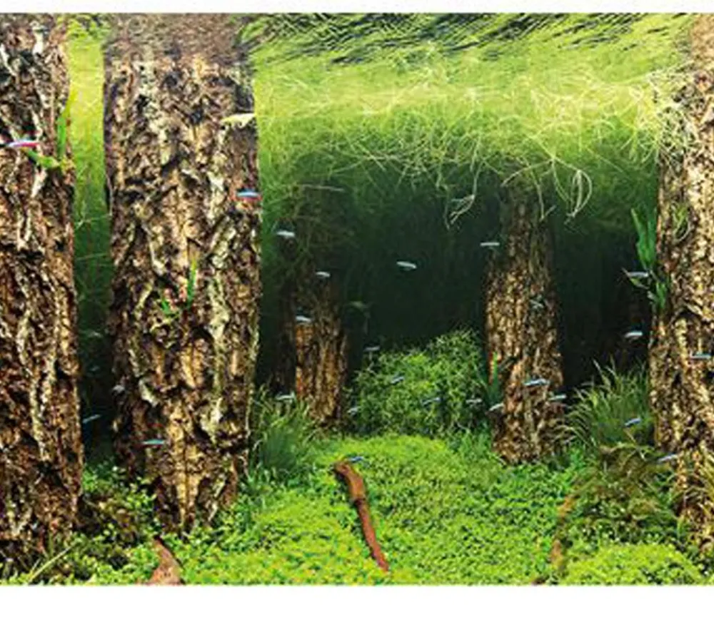 Hobby® Aquarium Rückwand Scaper's Hill/Scaper's Forest Discount