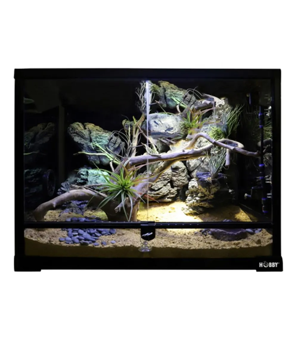 Hobby® Terrarium - Selbstbau Glasterrarium Terra Fix & Easy 60