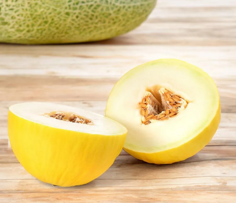 Dehner Honigmelone Gelb