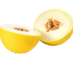 Dehner Honigmelone Gelb