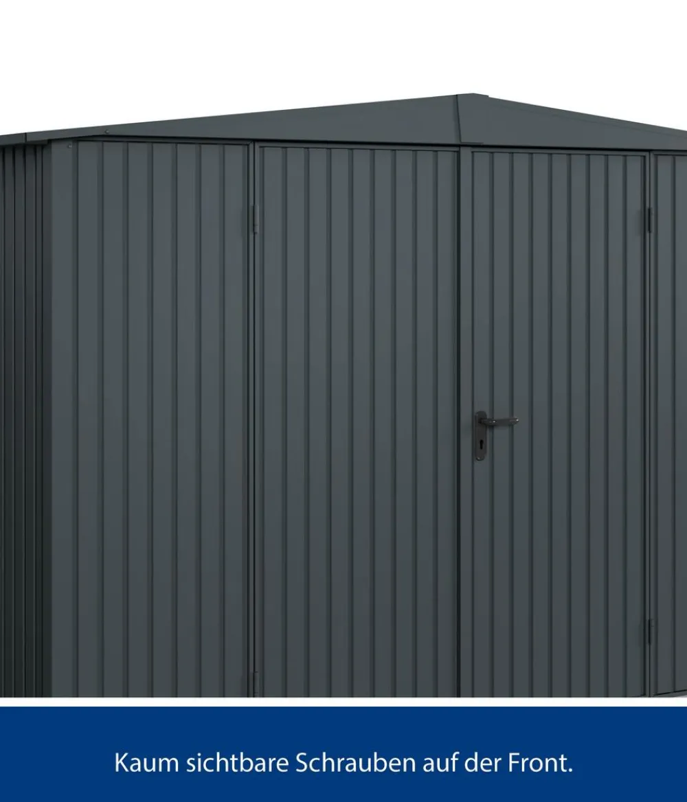 Hörmann Gartenhäuser & Gerätehäuser - Berry-Gerätehaus Classic-S Typ 3, ca. B323,6/H219,4/T247,7 cm Weißaluminium