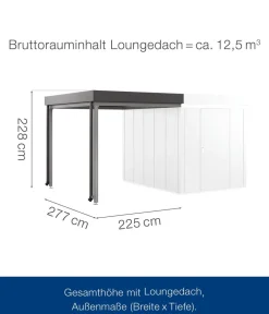 Hörmann Dachzubehör - Juno Loungedach für JFD6/10/13, ca. B225/H220/T277 cm Anthrazit