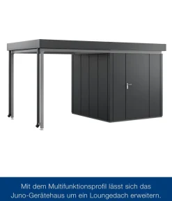 Hörmann Zubehör & Ausstattung > Juno Multifunktionsprofil für Flachdach JFD7/JDF12, ca. B214/T310 cm