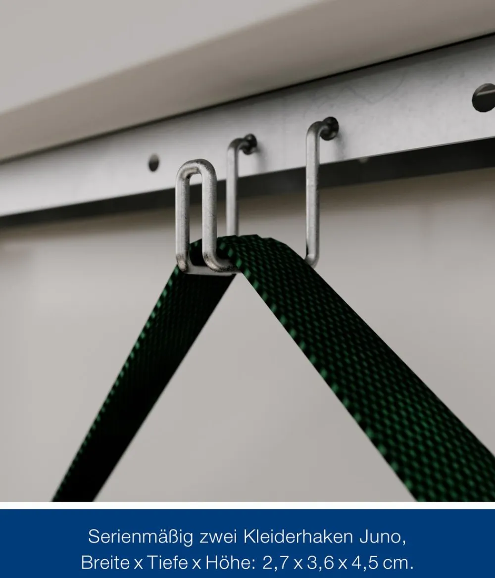 Hörmann Metallgerätehaus Juno JPD11 M-Sk Motiv Modern, ca. B277/H232/T358 cm Graualuminium Clearance