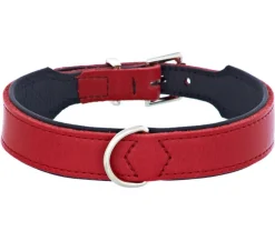 HUNTER® Hundehalsband Basic, /