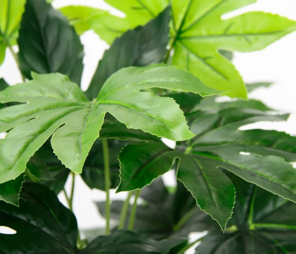 I.GE.A Kunstpflanzen > . Kunstpflanze Aralie im Kunststoff-Topf, ca. H60 cm