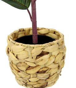 I.GE.A Kunstpflanzen - . Kunstpflanze Gummibaum im Wasserhyazinthentopf, ca. H84 cm Grün