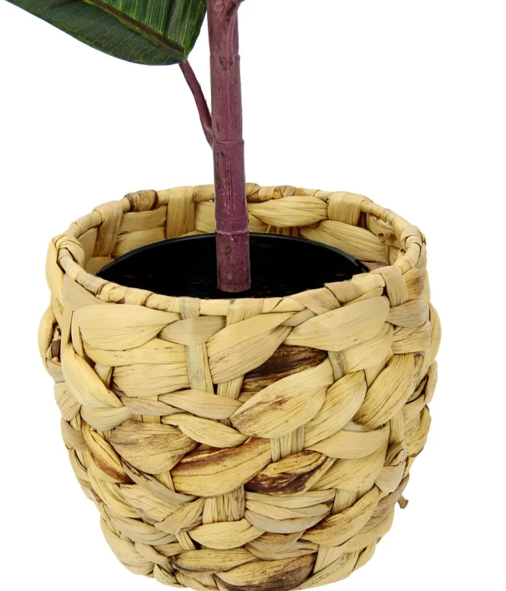 I.GE.A Kunstpflanzen - . Kunstpflanze Gummibaum im Wasserhyazinthentopf, ca. H84 cm Grün