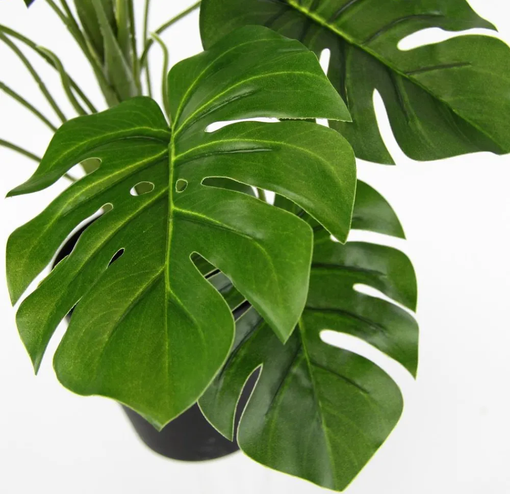 I.GE.A . Kunstpflanze Monstera im Wasserhyazinthentopf, ca. H46 cm Grün