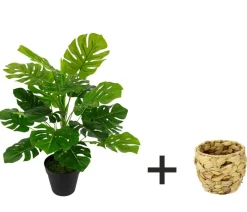 I.GE.A . Kunstpflanze Monstera im Wasserhyazinthentopf, ca. H46 cm Grün