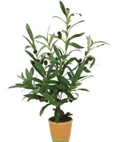 I.GE.A Kunstpflanzen > . Kunstpflanze Olive mit schwarzen Oliven, im Topf, ca. H57 cm