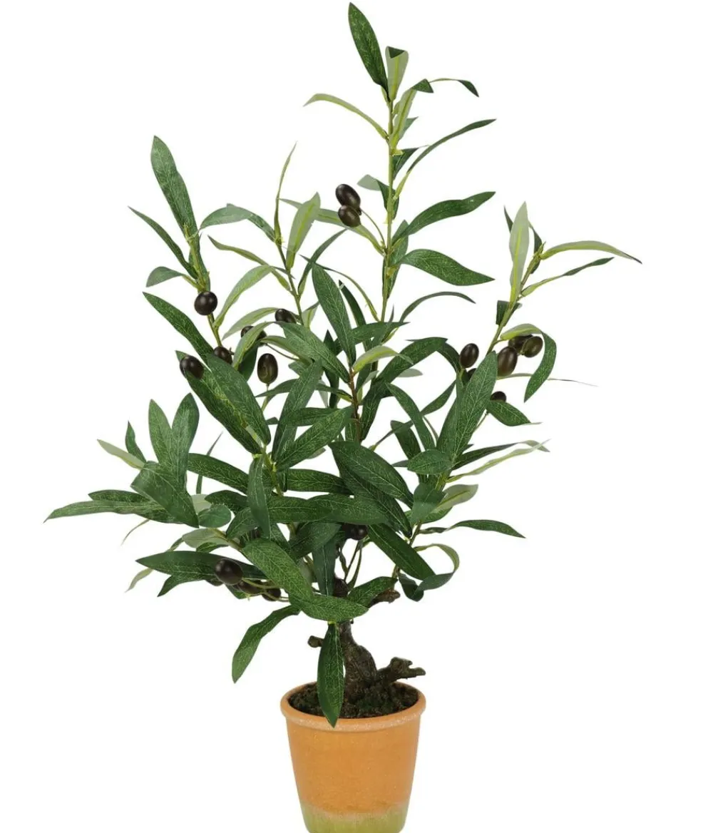 I.GE.A Kunstpflanzen > . Kunstpflanze Olive mit schwarzen Oliven, im Topf, ca. H57 cm